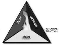 Combustion reaction