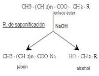 Saponificación