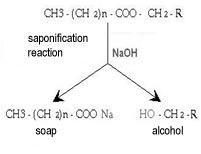 Saponification